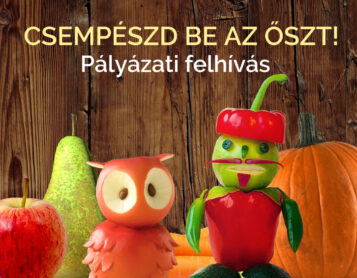 Pályázati felhívás az Őszi est a múzeumkerben rendezvényre