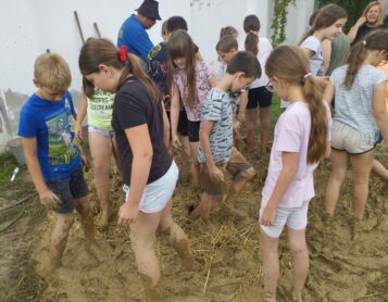 Honismereti tábor a múzeumban 2024