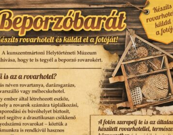 Rovarhotel-készítő verseny